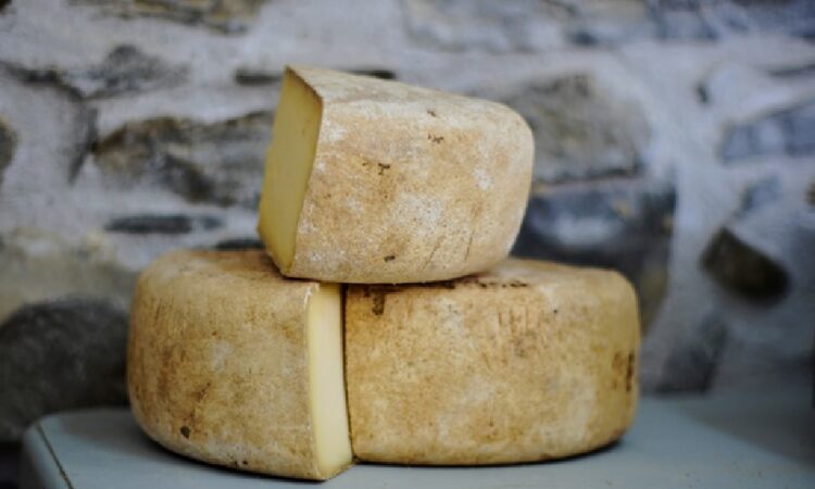 Enhancing Commercial Cooking with Aged Cheese